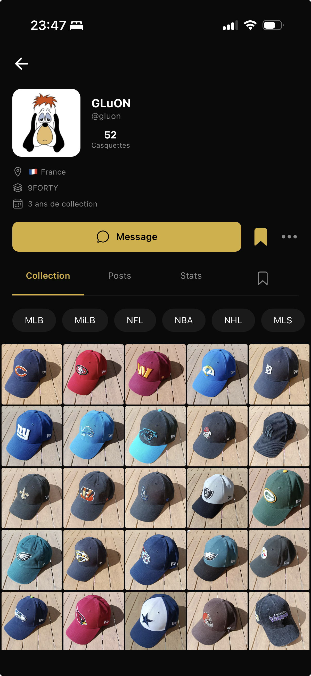 Profil collectionneur